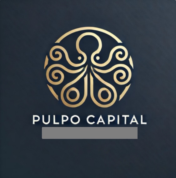 Pulpo Capital, Odoo ERP client of Supply Steer Technologies